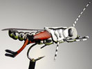 Harry Schoel bei Flyfishing Europe, Fliegenbinden, Fliegenfischen mit Foam Flies