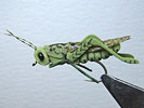 Johan Put bei Flyfishing Europe, Fliegenbinden realistische Muster