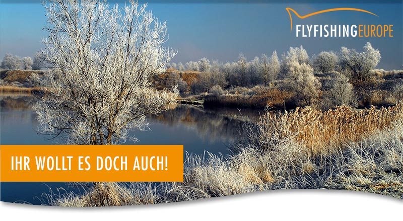 Exklusiv nur für unsere Newsletter-Empfänger: Der ultimative Adventskalender